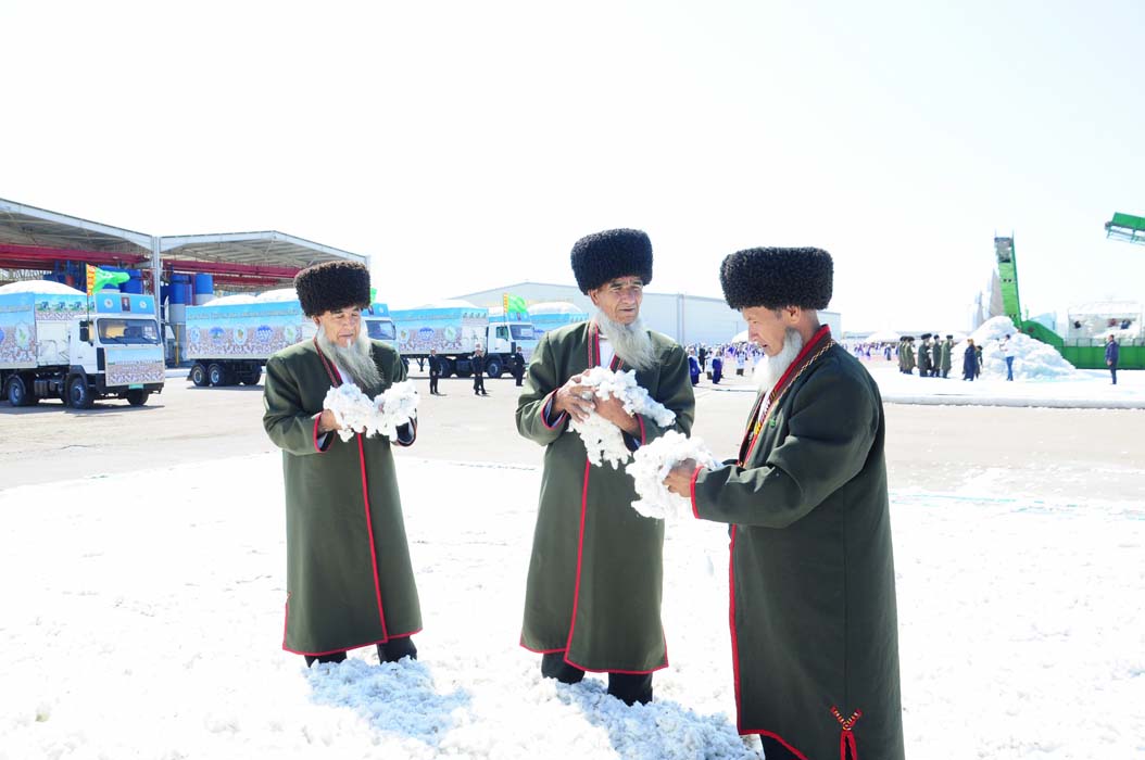 Cotton harvesting campaign starts in Dashoguz velayat